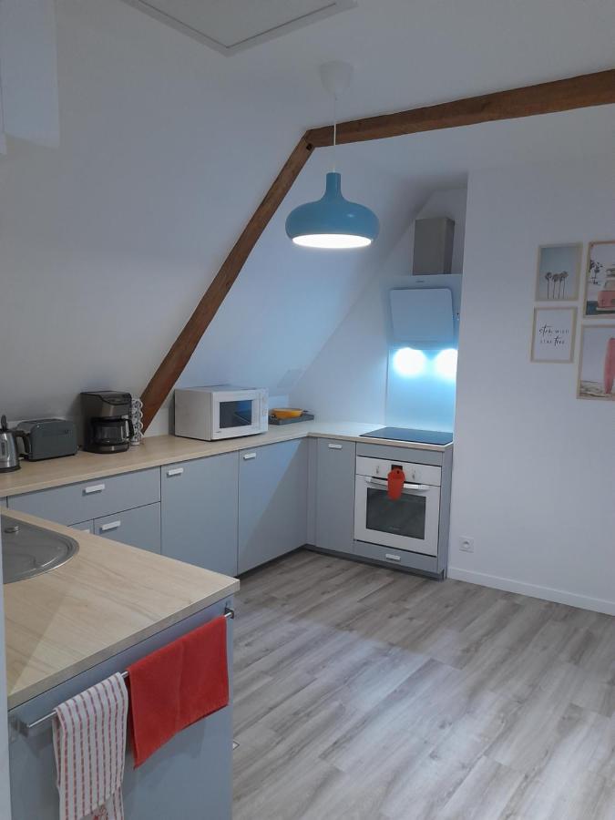 Appartement Dans Maison De 1789 Au Centre De Vitre Exterior foto